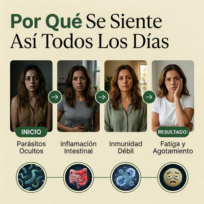 Aceite de Orégano —Limpia Parásitos y mejora tu sistema inmune